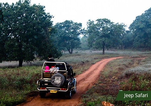 Jeep Safari Golfview Pachmarhi