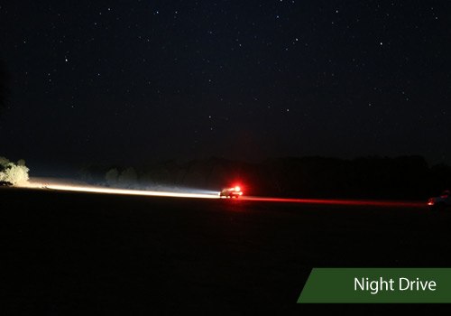 Night Drive Golfview Pachmarhi